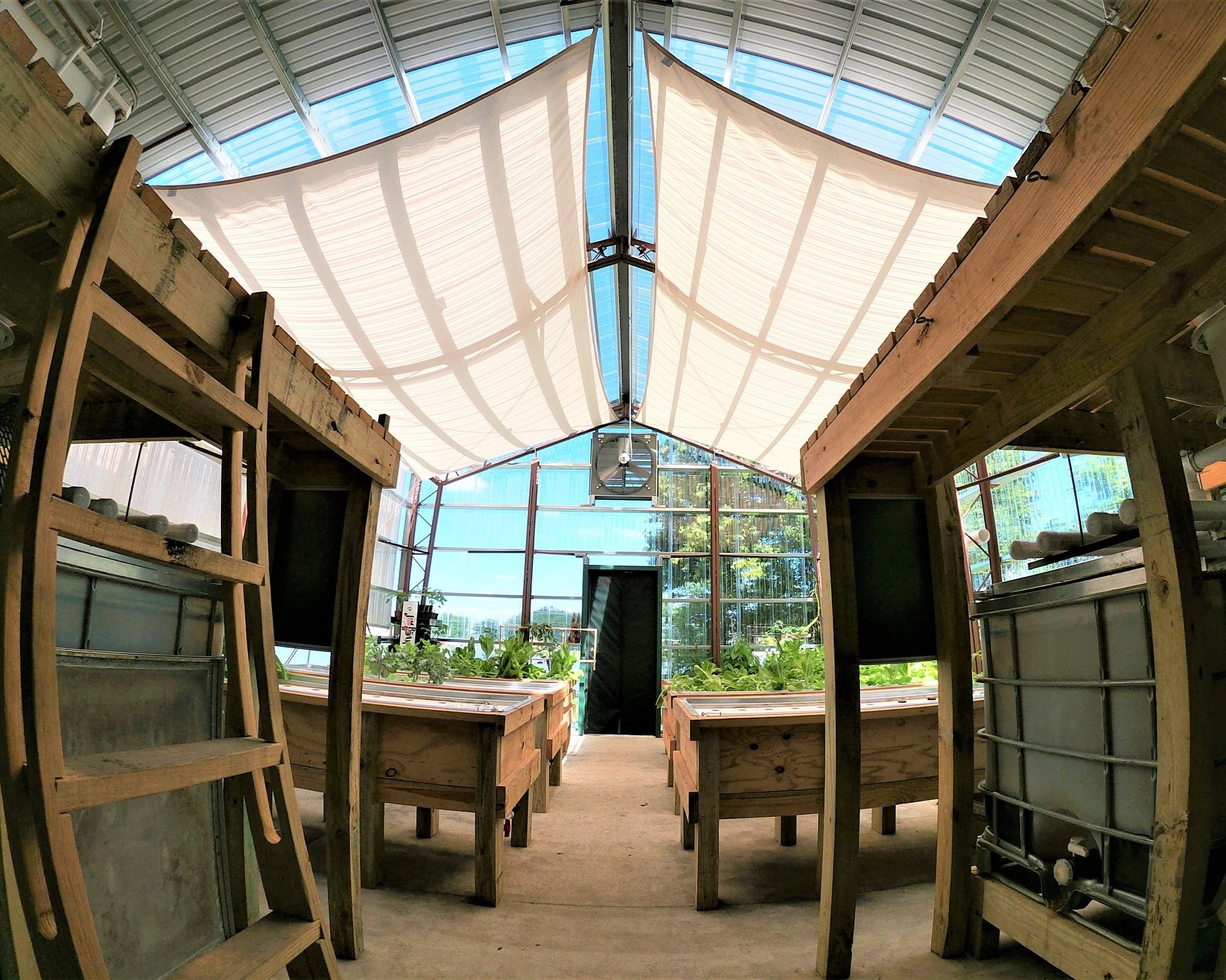 Interior view of a modern greenhouse featuring wooden work tables, a large entrance, and a canopy providing shade, with plants visible in the background and ample natural light from the ceiling windows.
